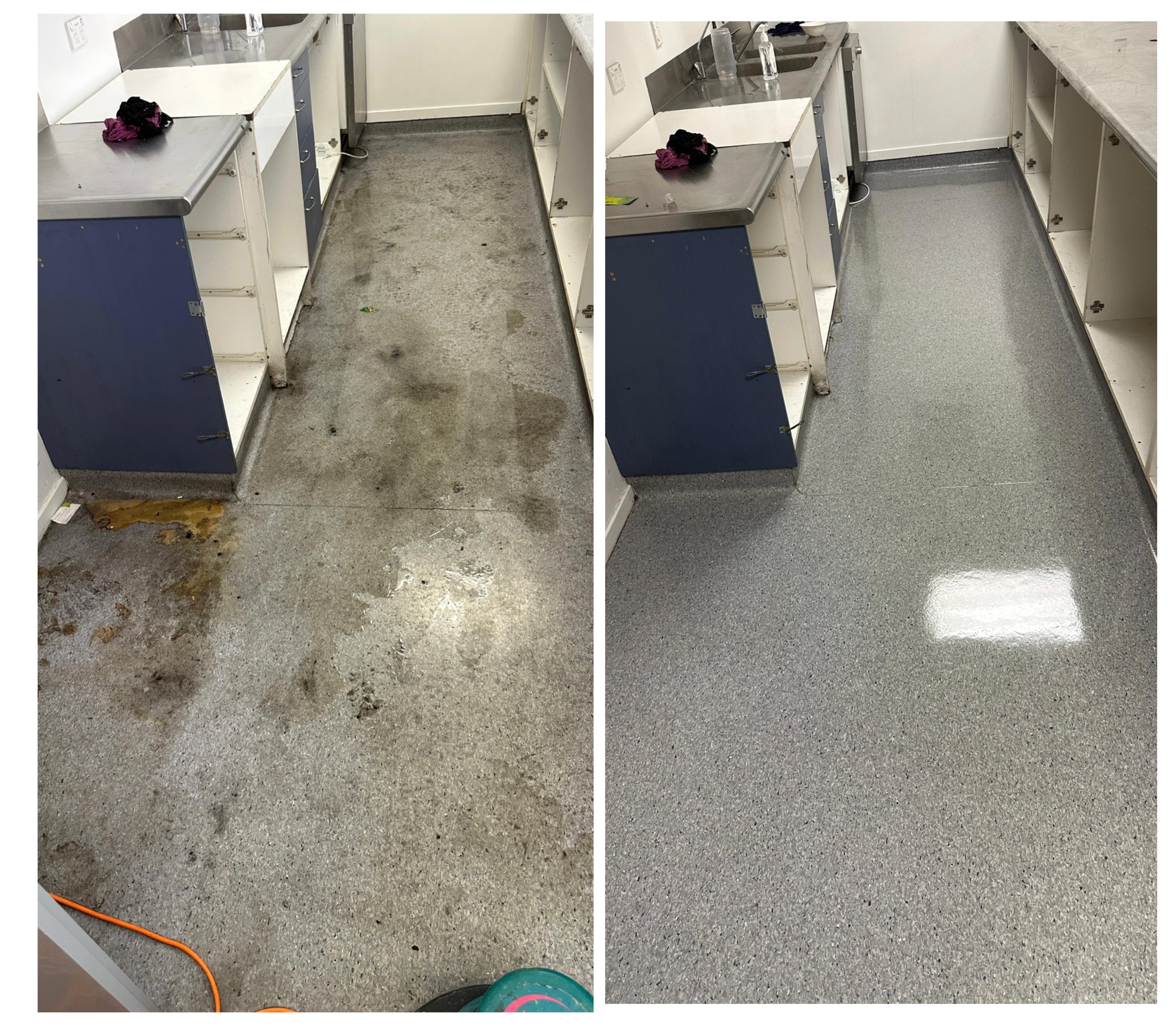 Professional cleaning service 11