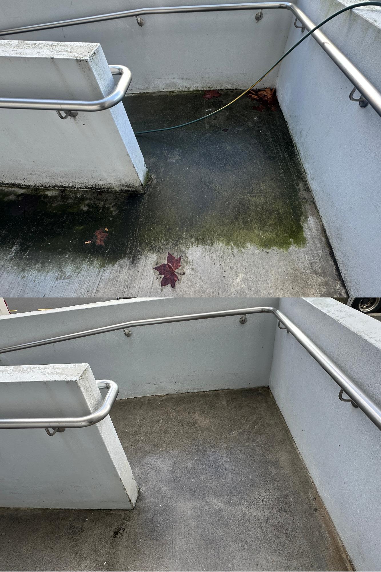 Professional cleaning service 7